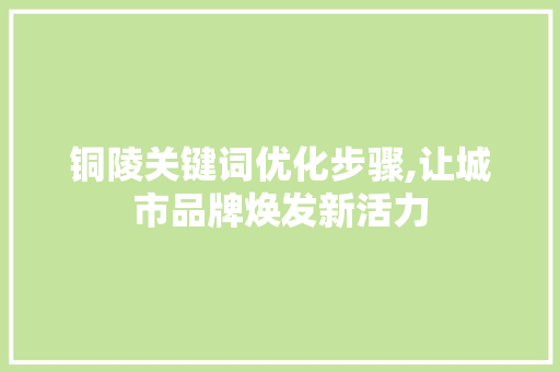 铜陵关键词优化步骤,让城市品牌焕发新活力