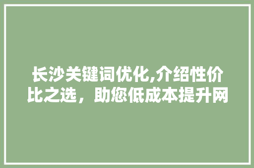 长沙关键词优化,介绍性价比之选，助您低成本提升网站排名