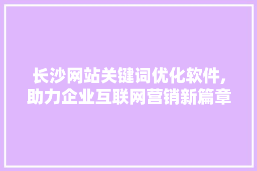 长沙网站关键词优化软件,助力企业互联网营销新篇章