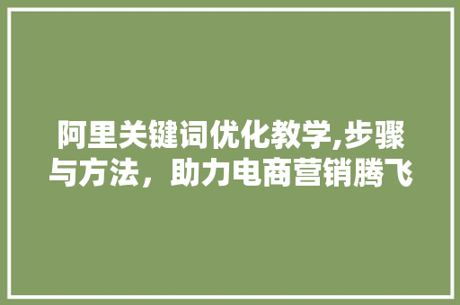 阿里关键词优化教学,步骤与方法，助力电商营销腾飞