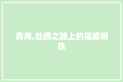 青海,丝绸之路上的璀璨明珠 seo技术
