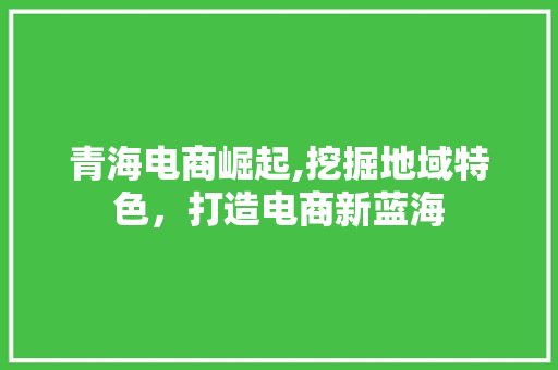 青海电商崛起,挖掘地域特色，打造电商新蓝海