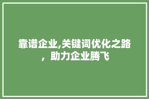 靠谱企业,关键词优化之路，助力企业腾飞