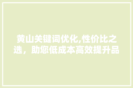 黄山关键词优化,性价比之选，助您低成本高效提升品牌知名度 seo技术