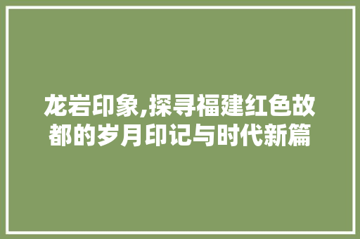 龙岩印象,探寻福建红色故都的岁月印记与时代新篇