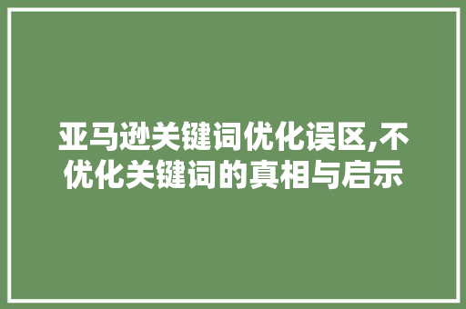 亚马逊关键词优化误区,不优化关键词的真相与启示