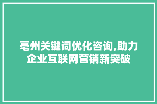 亳州关键词优化咨询,助力企业互联网营销新突破