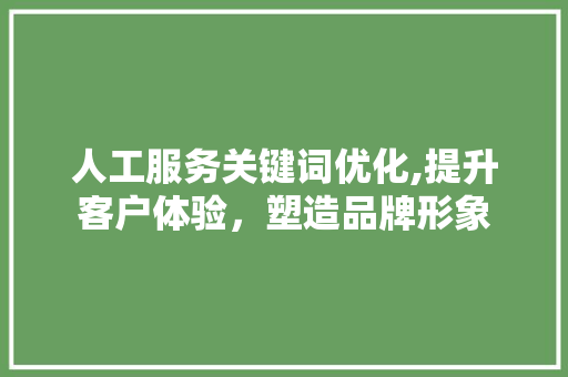 人工服务关键词优化,提升客户体验，塑造品牌形象