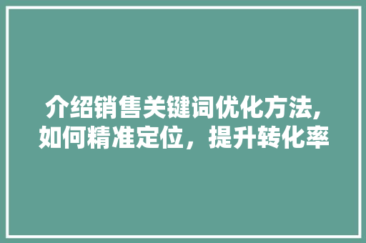 介绍销售关键词优化方法,如何精准定位，提升转化率 网站优化