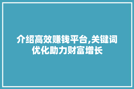 介绍高效赚钱平台,关键词优化助力财富增长 网站开发