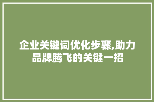企业关键词优化步骤,助力品牌腾飞的关键一招