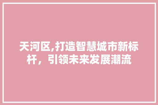 天河区,打造智慧城市新标杆，引领未来发展潮流