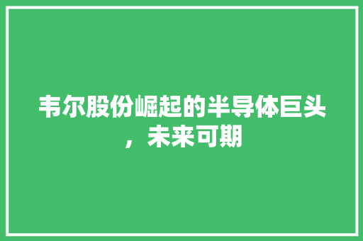 韦尔股份崛起的半导体巨头，未来可期 英文谷歌算法