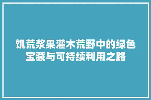 饥荒浆果灌木荒野中的绿色宝藏与可持续利用之路 seo技术