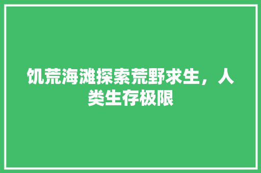 饥荒海滩探索荒野求生，人类生存极限 网站优化