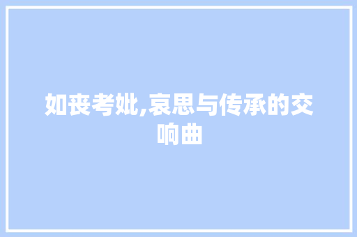 如丧考妣,哀思与传承的交响曲 如丧考妣,哀思与传承的交响曲 网站开发