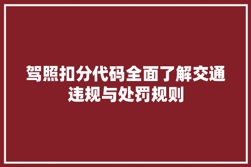 驾照扣分代码全面了解交通违规与处罚规则