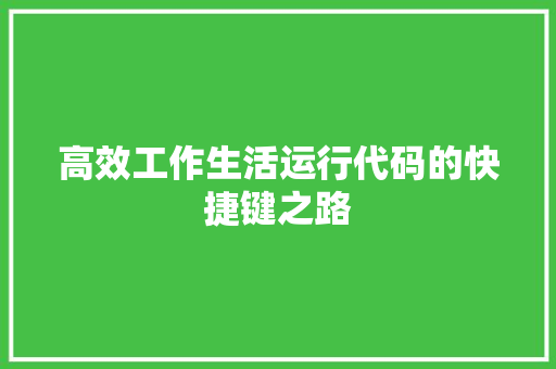 高效工作生活运行代码的快捷键之路