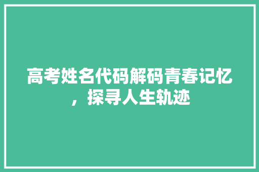 高考姓名代码解码青春记忆，探寻人生轨迹