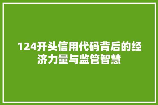 124开头信用代码背后的经济力量与监管智慧