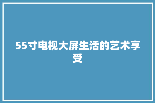 55寸电视大屏生活的艺术享受