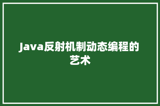 Java反射机制动态编程的艺术