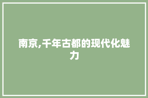 南京,千年古都的现代化魅力