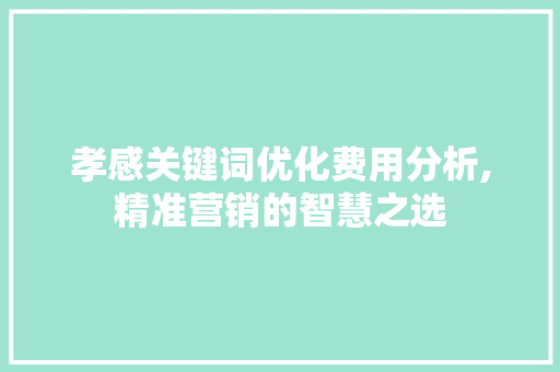 孝感关键词优化费用分析,精准营销的智慧之选 seo技术