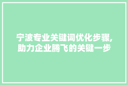 宁波专业关键词优化步骤,助力企业腾飞的关键一步 百度算法
