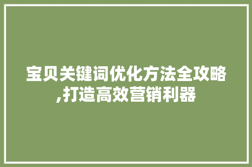 宝贝关键词优化方法全攻略,打造高效营销利器 网站开发