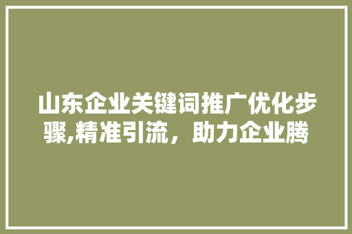 山东企业关键词推广优化步骤,精准引流，助力企业腾飞