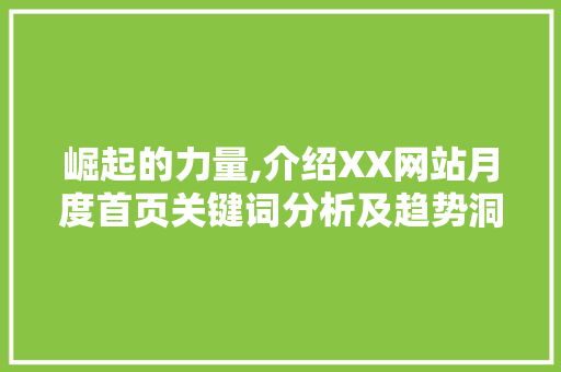 崛起的力量,介绍XX网站月度首页关键词分析及趋势洞察