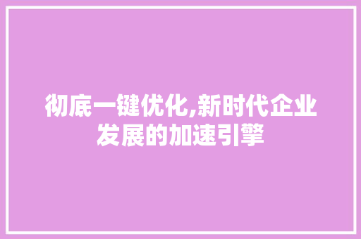 彻底一键优化,新时代企业发展的加速引擎