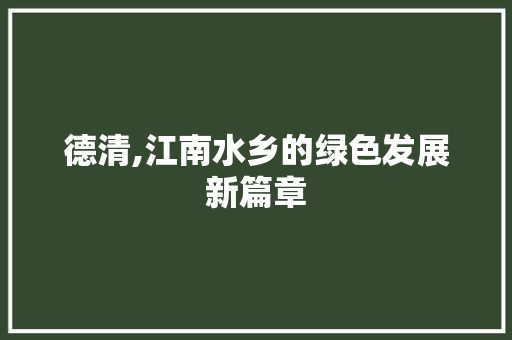 德清,江南水乡的绿色发展新篇章 网站优化