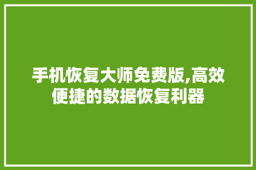 手机恢复大师免费版,高效便捷的数据恢复利器