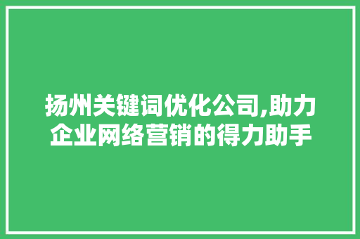 扬州关键词优化公司,助力企业网络营销的得力助手