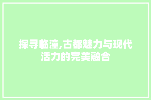 探寻临潼,古都魅力与现代活力的完美融合 小程序开发