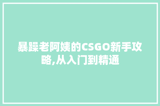 暴躁老阿姨的CSGO新手攻略,从入门到精通