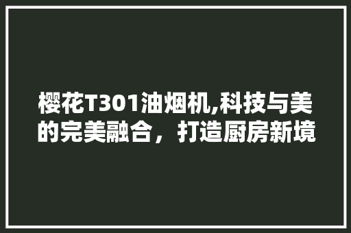 樱花T301油烟机,科技与美的完美融合，打造厨房新境界