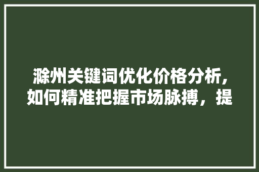 滁州关键词优化价格分析,如何精准把握市场脉搏，提升企业竞争力