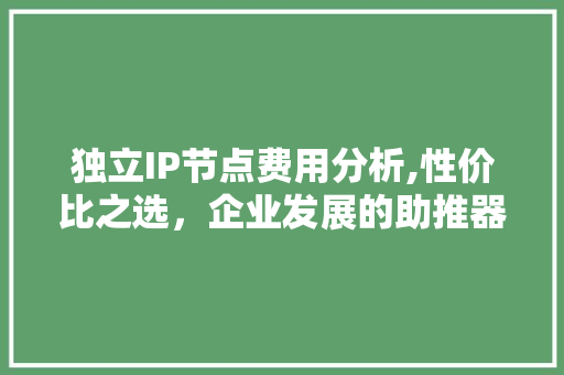 独立IP节点费用分析,性价比之选，企业发展的助推器