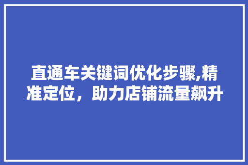 直通车关键词优化步骤,精准定位，助力店铺流量飙升 小程序开发