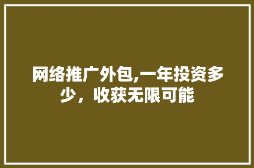 网络推广外包,一年投资多少，收获无限可能