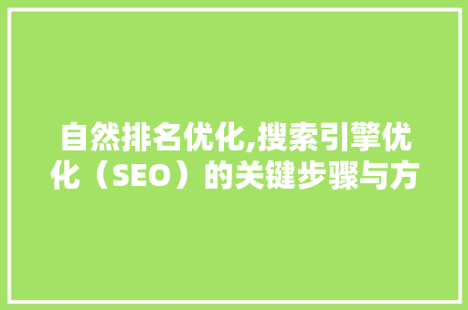 自然排名优化,搜索引擎优化（SEO）的关键步骤与方法 seo技术