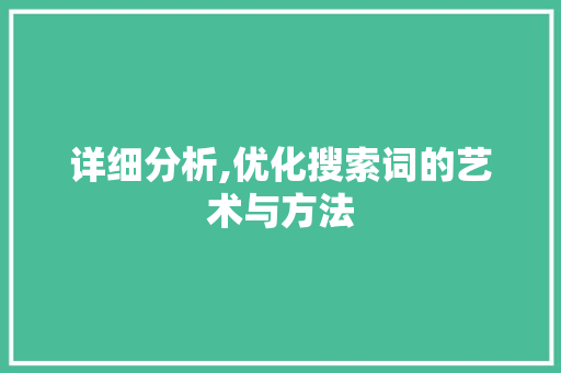 详细分析,优化搜索词的艺术与方法