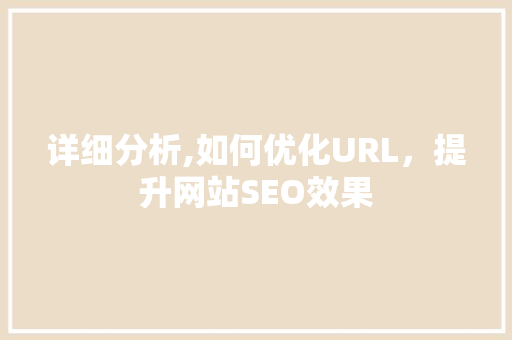 详细分析,如何优化URL，提升网站SEO效果