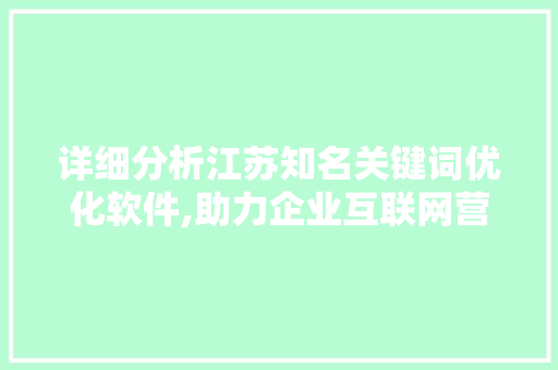 详细分析江苏知名关键词优化软件,助力企业互联网营销新篇章