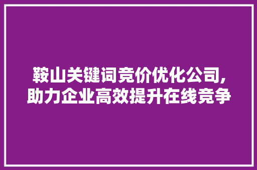 鞍山关键词竞价优化公司,助力企业高效提升在线竞争力