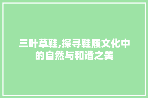 三叶草鞋,探寻鞋履文化中的自然与和谐之美 头条优化