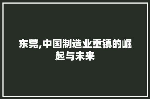 东莞,中国制造业重镇的崛起与未来